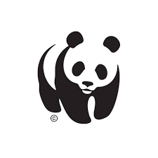 wnf logo (1)